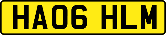HA06HLM