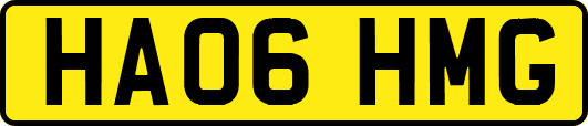 HA06HMG