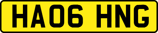 HA06HNG