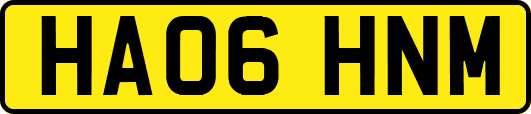 HA06HNM