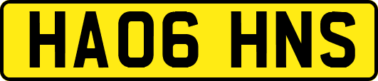 HA06HNS