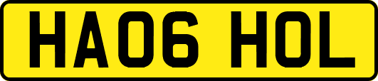 HA06HOL