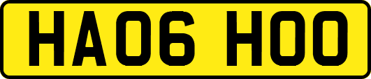HA06HOO