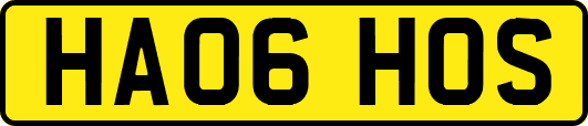 HA06HOS