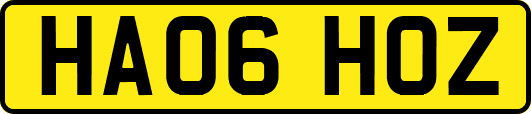 HA06HOZ