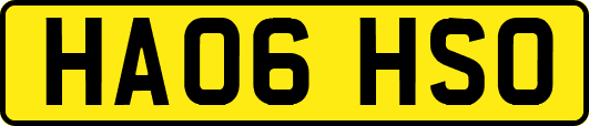 HA06HSO