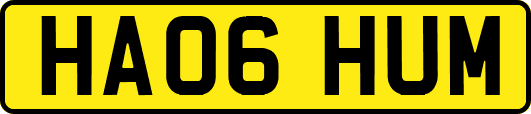 HA06HUM