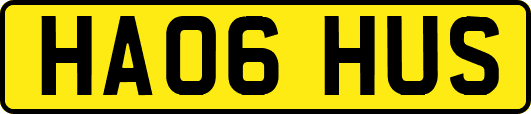 HA06HUS