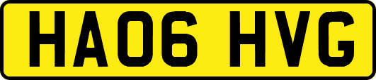 HA06HVG