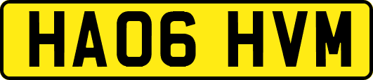 HA06HVM
