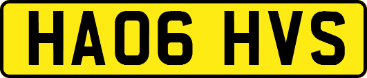 HA06HVS