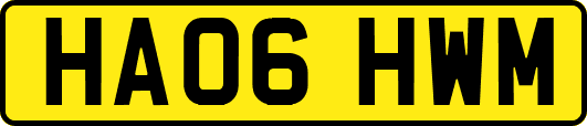 HA06HWM