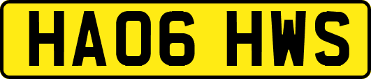 HA06HWS