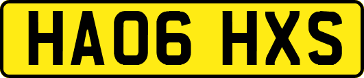 HA06HXS