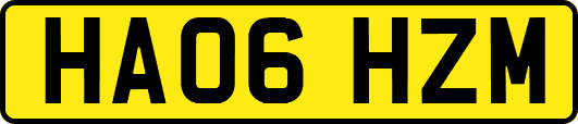 HA06HZM