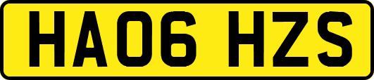HA06HZS