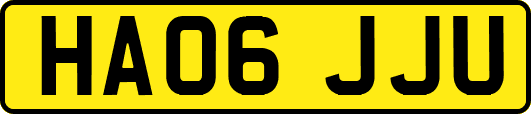 HA06JJU