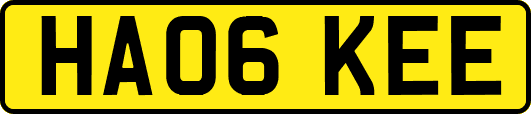 HA06KEE