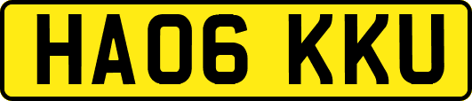 HA06KKU