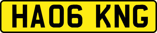HA06KNG