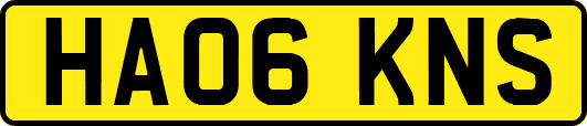HA06KNS