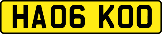 HA06KOO