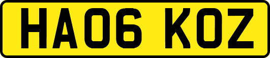 HA06KOZ