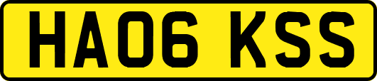 HA06KSS
