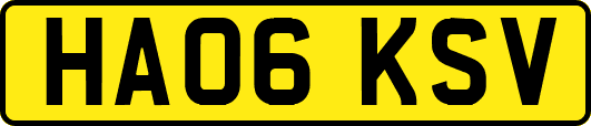 HA06KSV