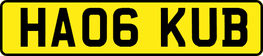HA06KUB