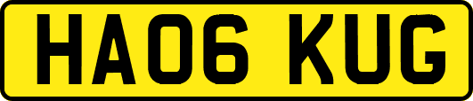 HA06KUG