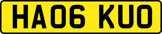 HA06KUO