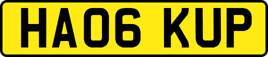 HA06KUP