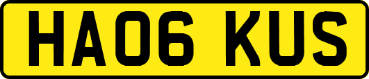 HA06KUS