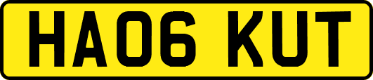 HA06KUT