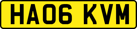 HA06KVM
