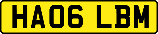 HA06LBM