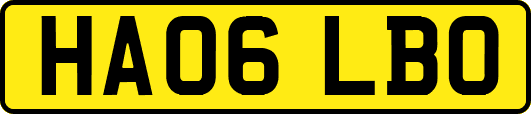 HA06LBO