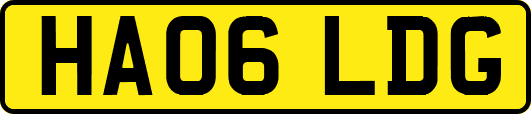 HA06LDG