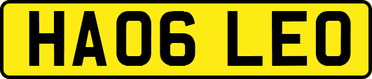 HA06LEO