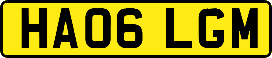 HA06LGM