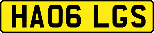 HA06LGS