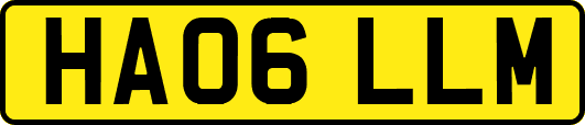 HA06LLM