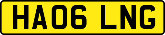 HA06LNG