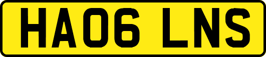 HA06LNS
