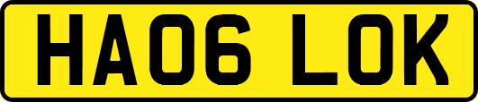 HA06LOK