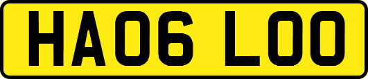 HA06LOO