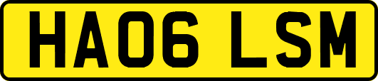 HA06LSM