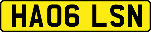 HA06LSN
