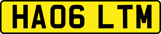 HA06LTM